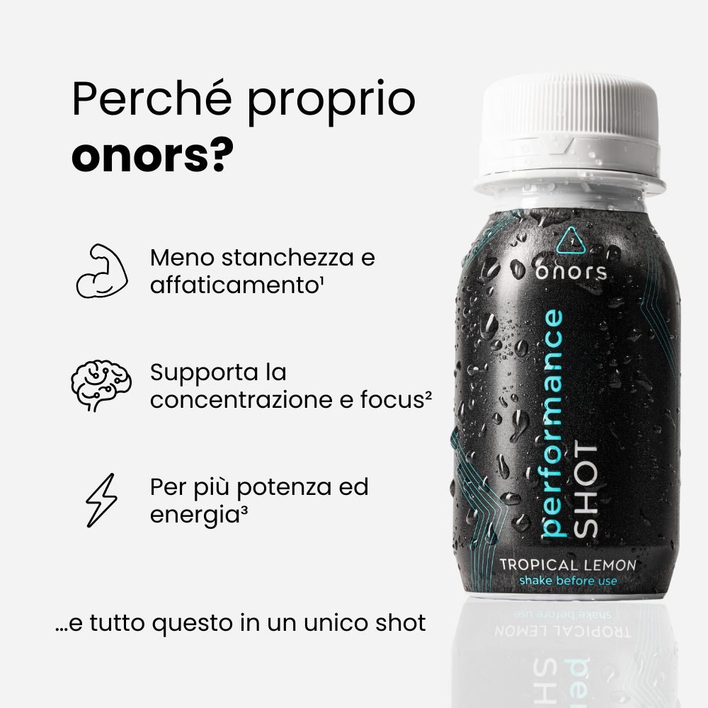 Lorem ipsum dolor agnes vitae revet