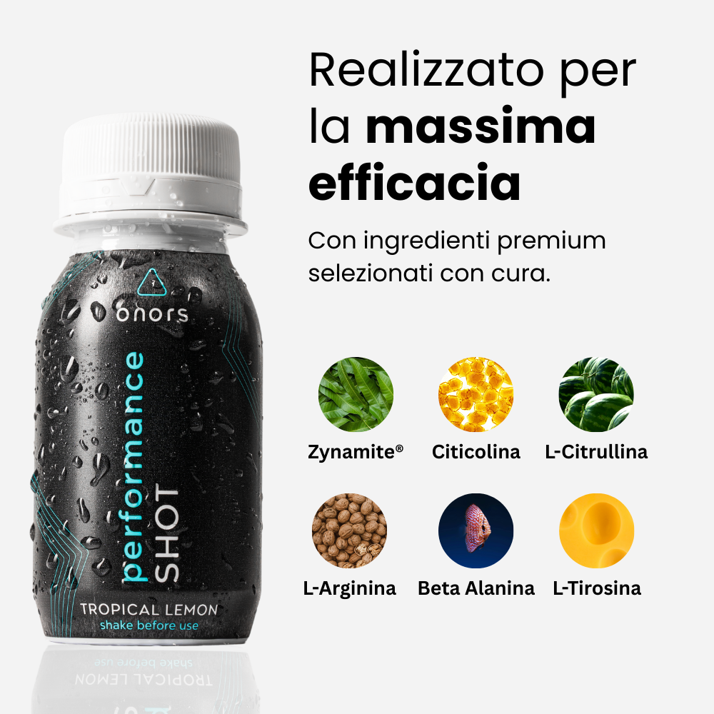 Lorem ipsum dolor agnes vitae revet